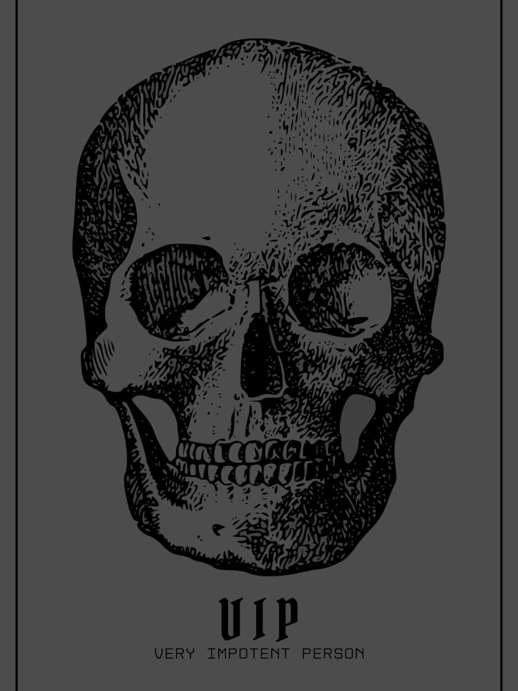 Funny VIP Skull Art