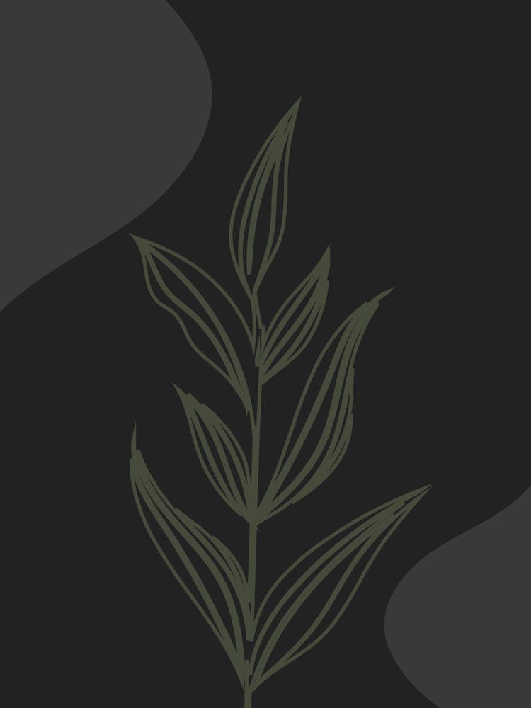 Plant On A Black Background