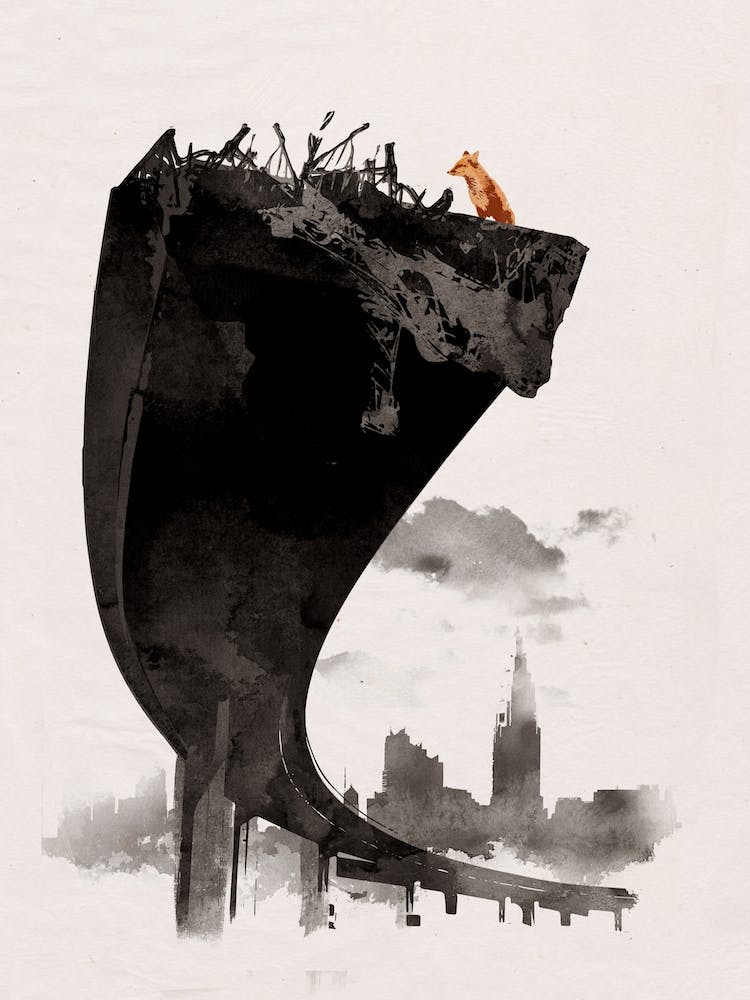 Last Of Us