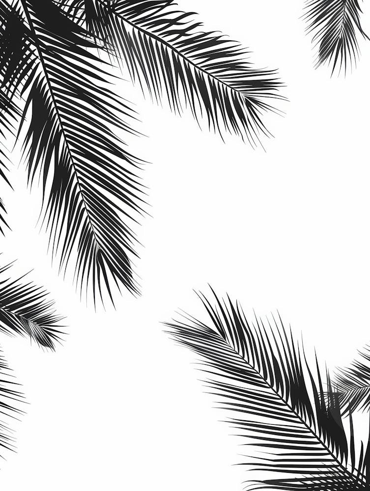 Palm Leaves On A White Background 1