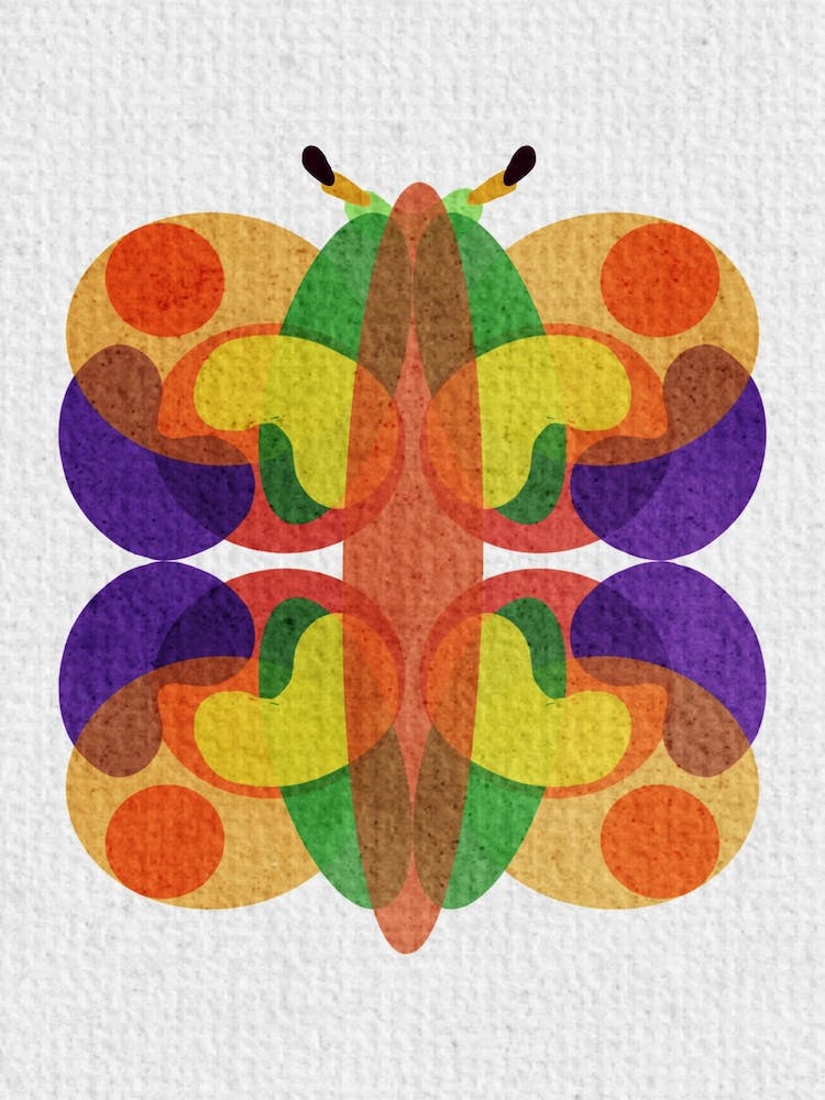 Butterfly 