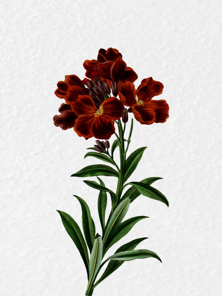 Red Flowers 3