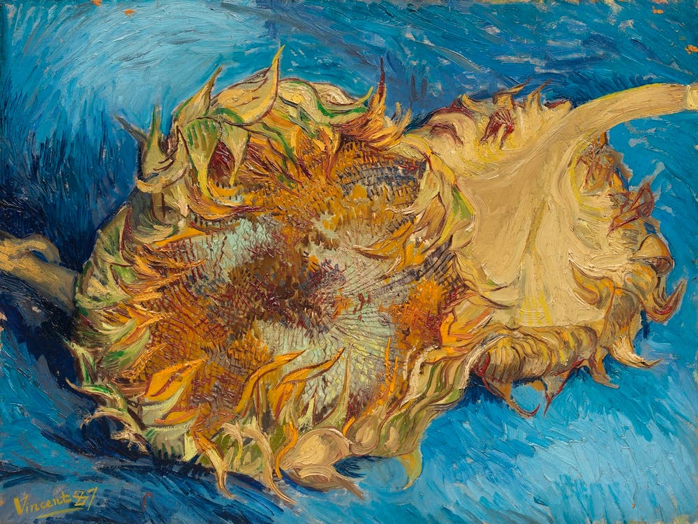 Sunflowers (1887), Vincent Van Gogh