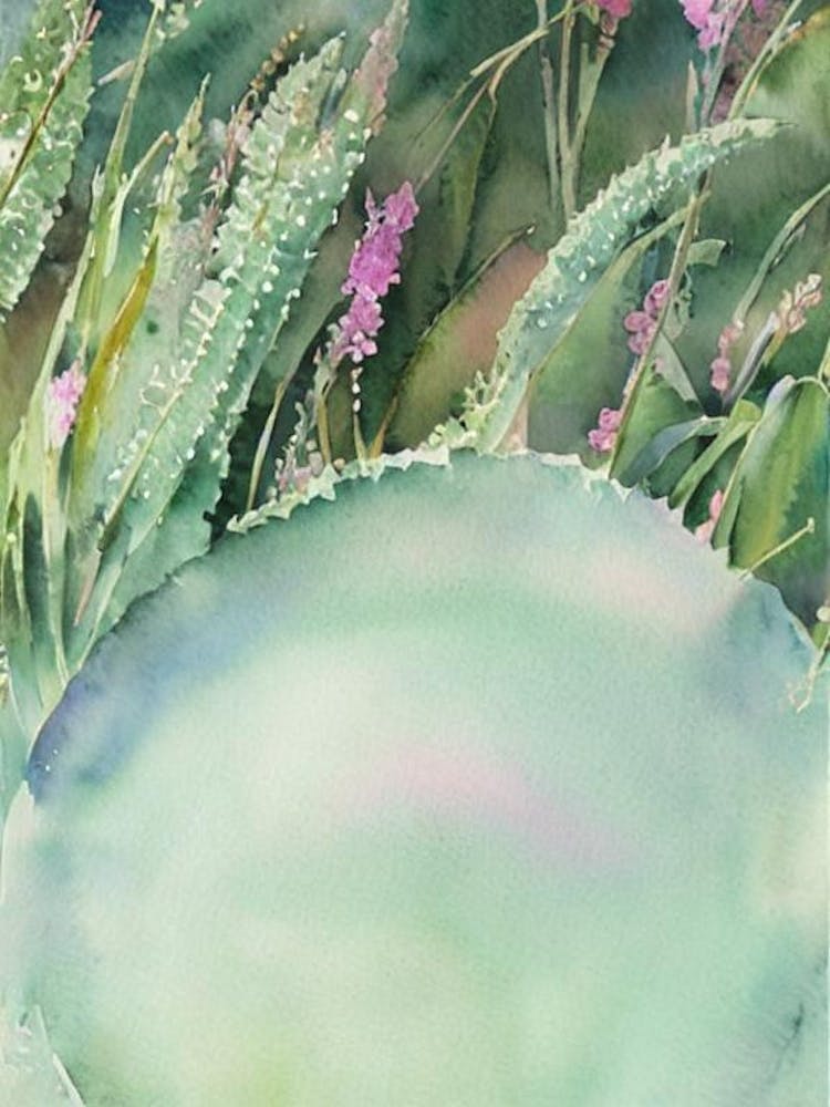 Barnacle Storybook Watercolour