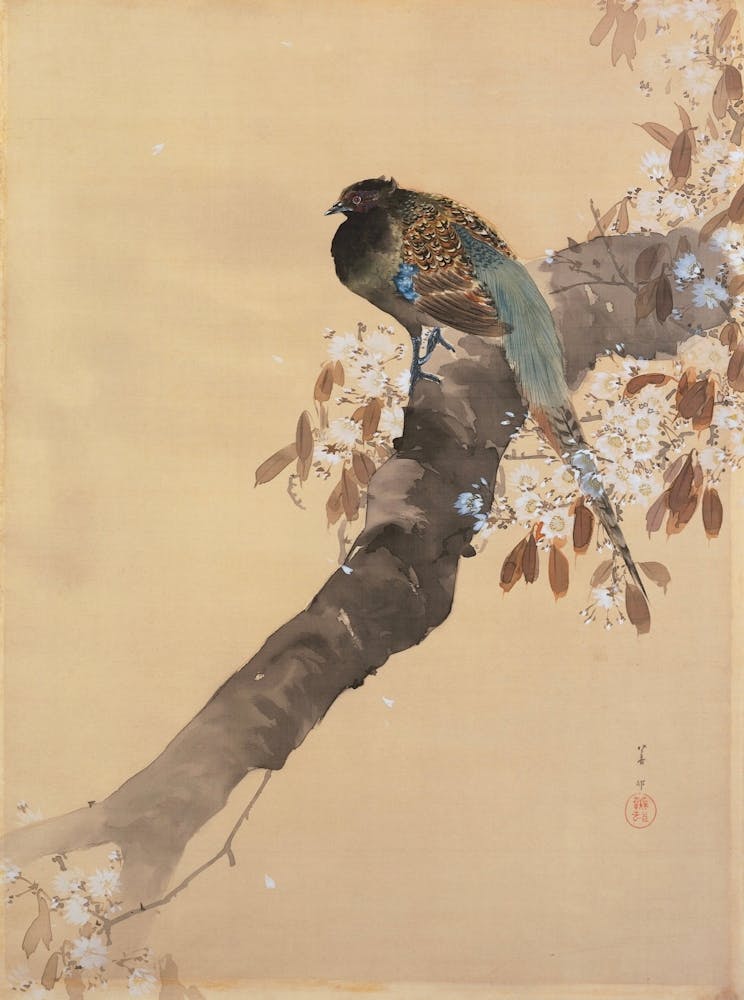 Taiwanese Bird