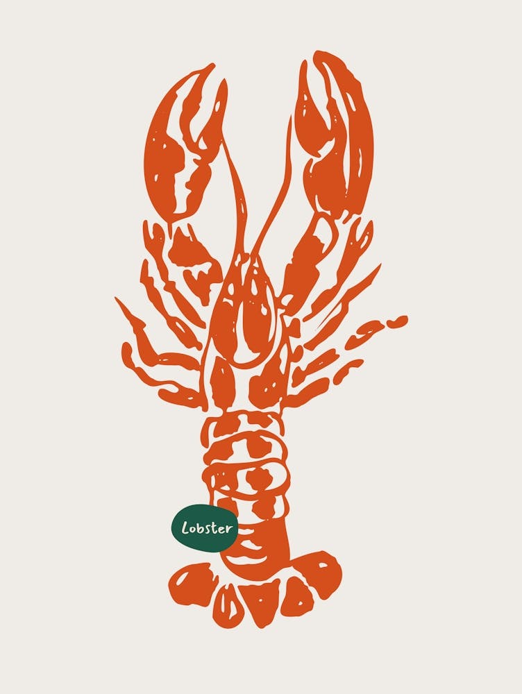 Orange Lobster