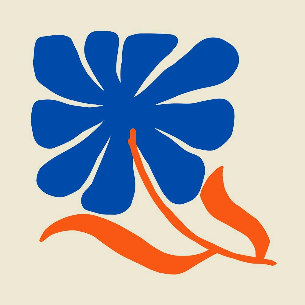 Blue And Orange Flower