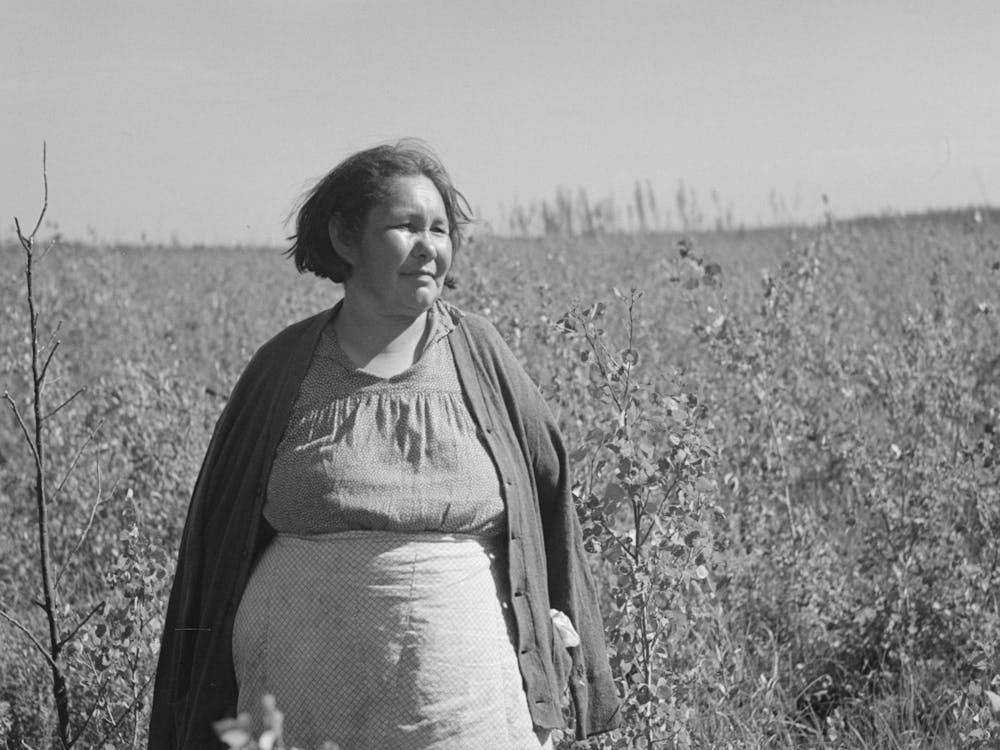 Indian Woman, Near Little Fork, Minnesota By Russell Lee
