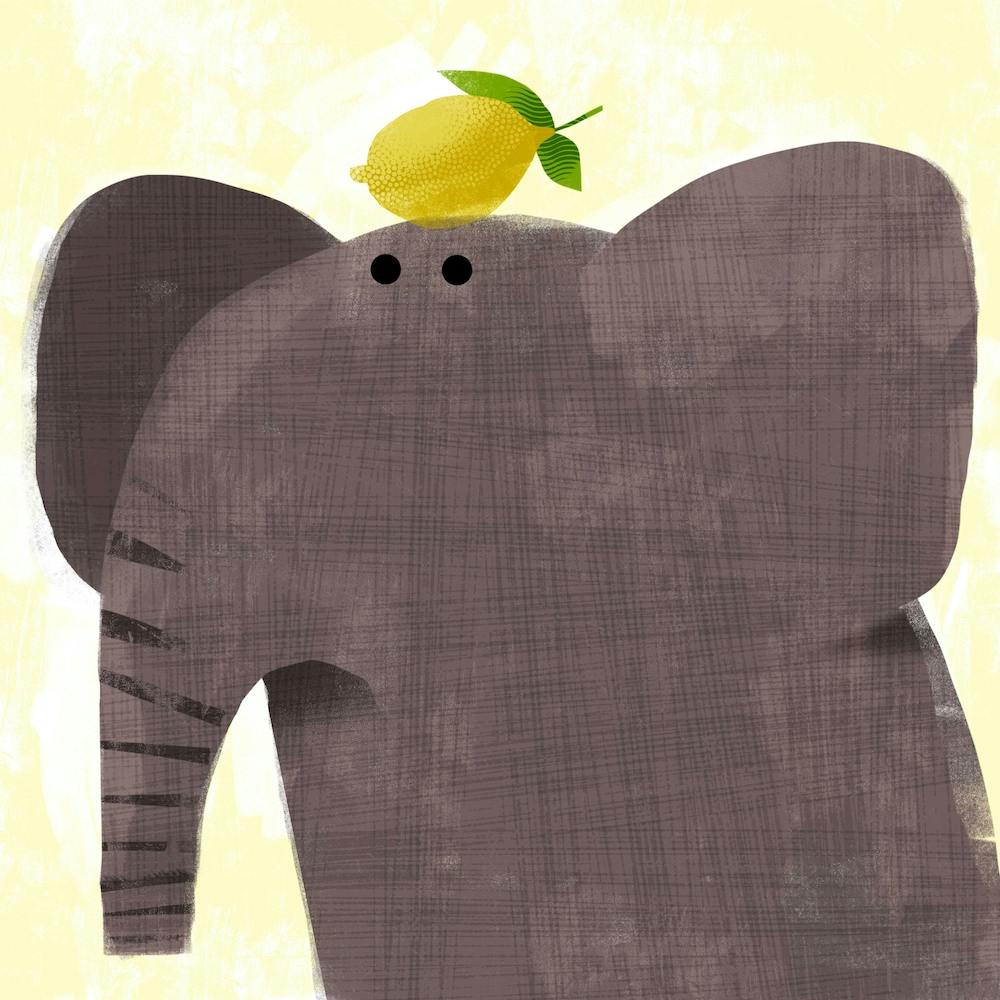 Elephant With Pesky Lemon Square