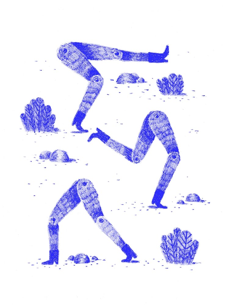 Silly Legs Blue