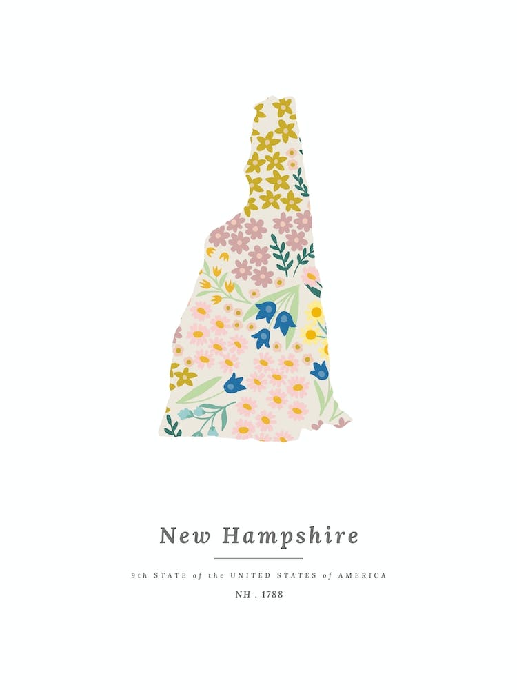 New Hampshire | Wildflower Mix