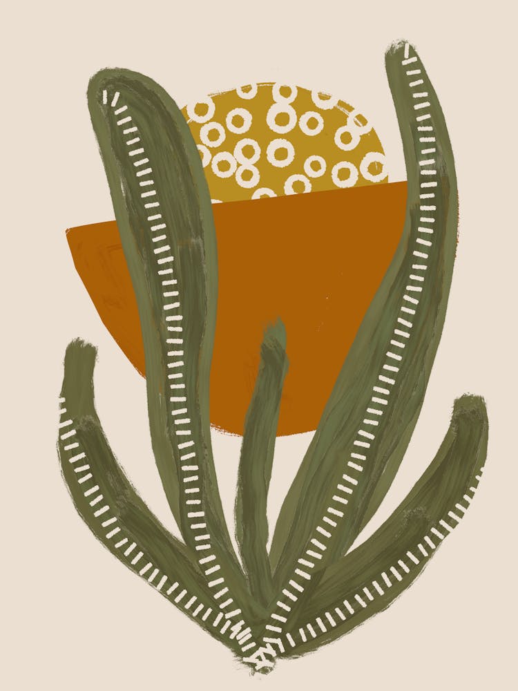 Cactus Desert Moon Bloom