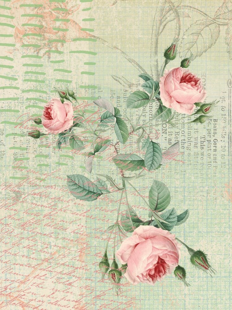 Floral Garden 4