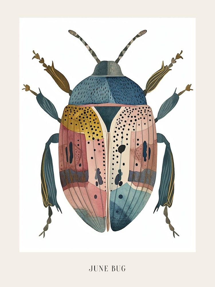 Farbige Insektenillustration Maikäfer 15 Poster