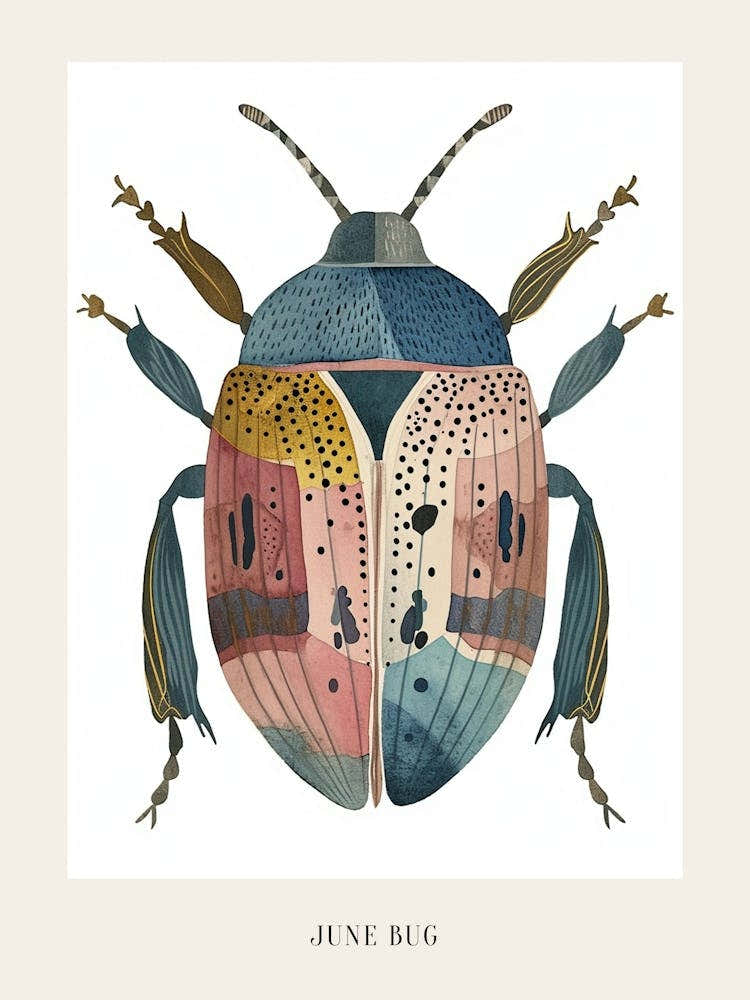 Colourful Insect Illustration June Bug 15 Poster