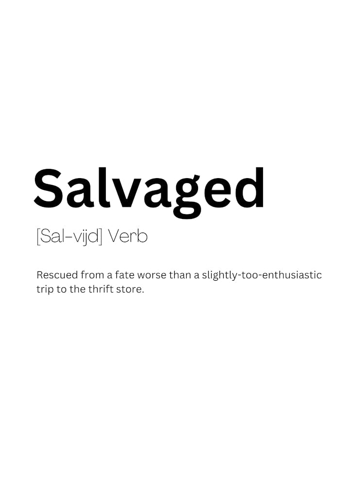 Salvaged Definition Meaning