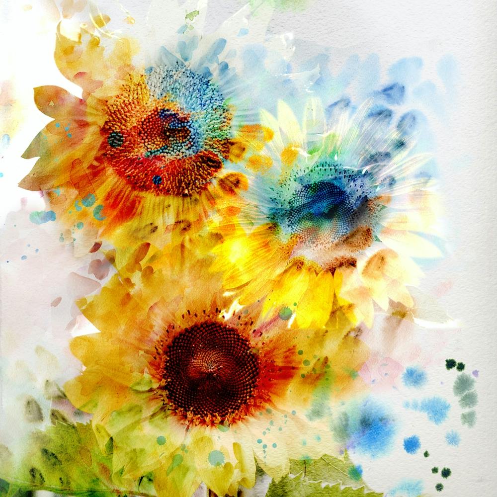 Sonnenblumen