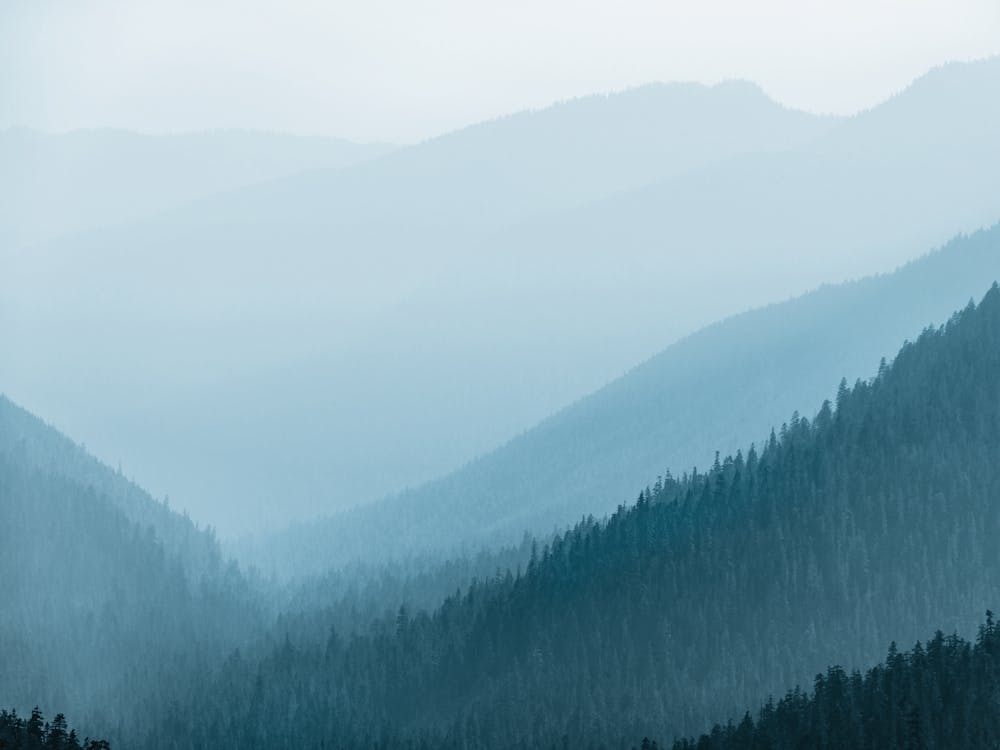 Pacific Northwest Summer Dreams