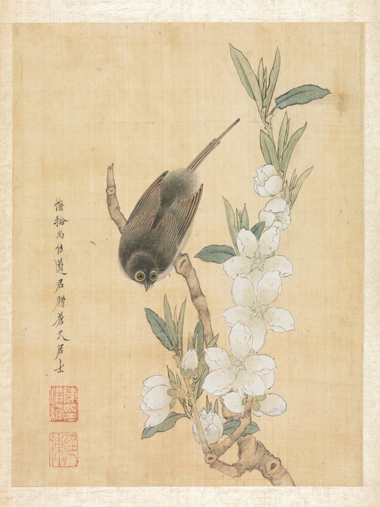 Bird On A Flowering Branch