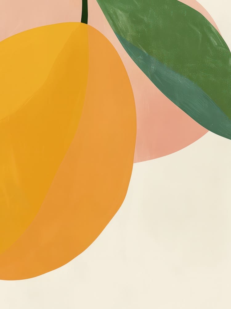 Mango Close Up Illustration 1