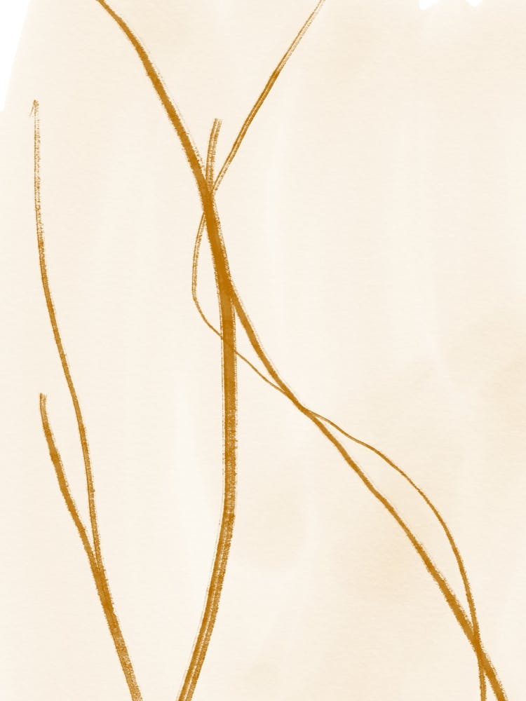 Abstracto Autumn Line