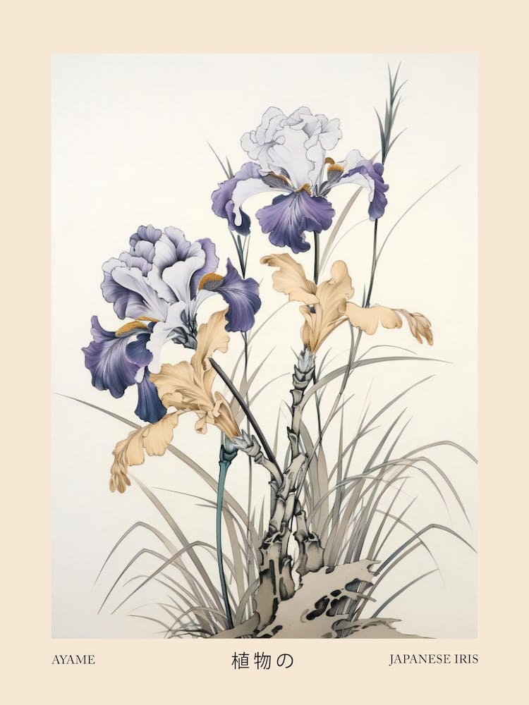 Ayame Japanese Iris 2 Vintage Japanese Botanical Poster