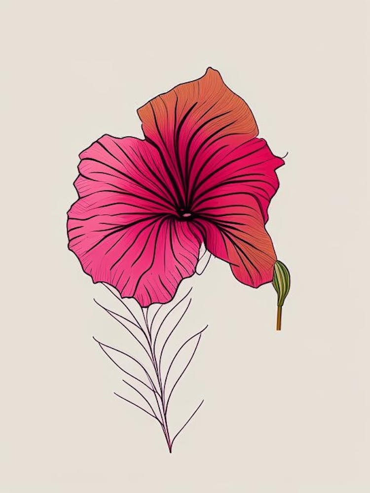 Hibiscus Floral Minimal Line Drawing 5 Flower