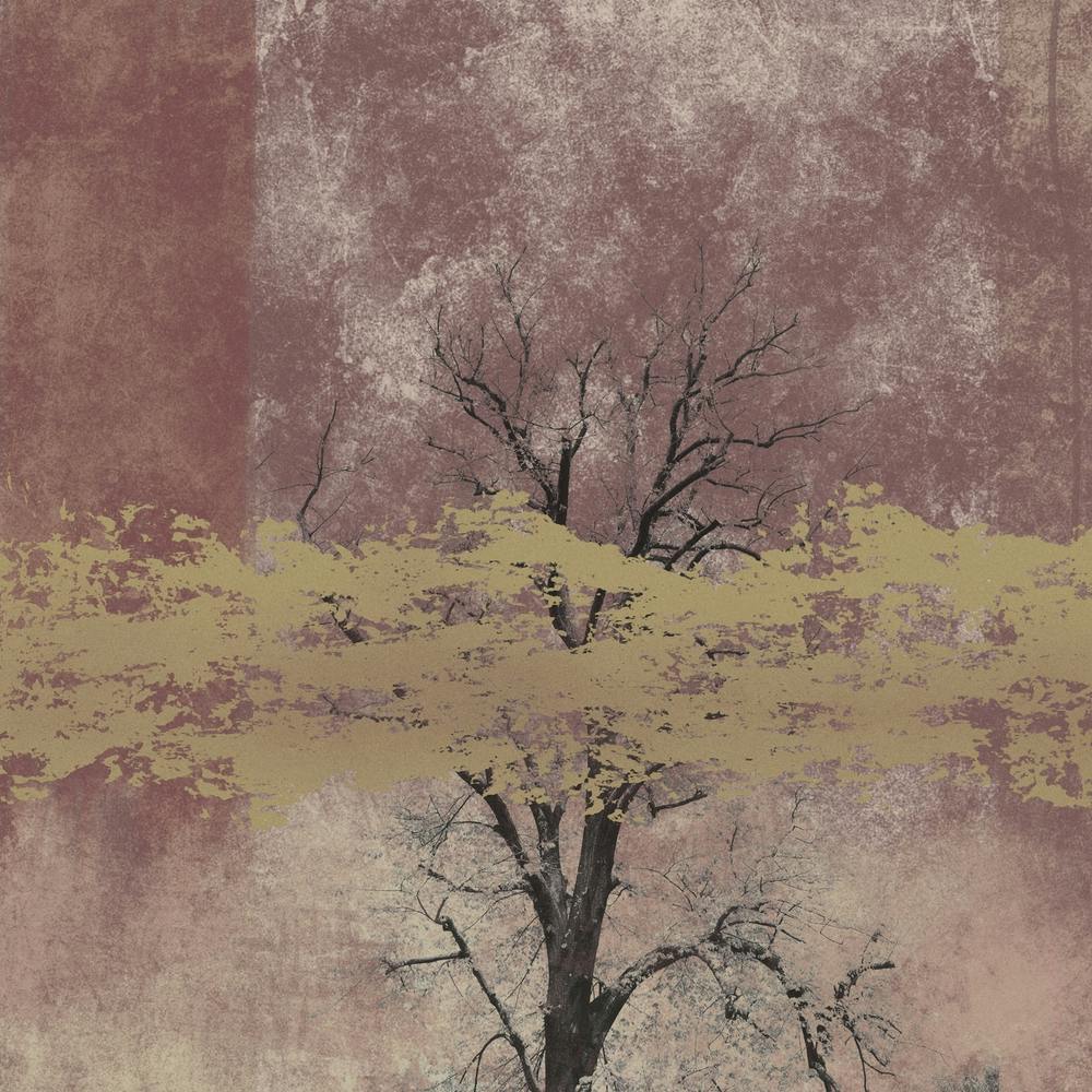 Bare Tree Mixed Media
