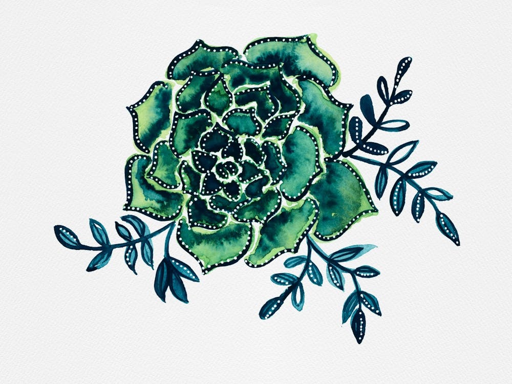 Rose Cactus