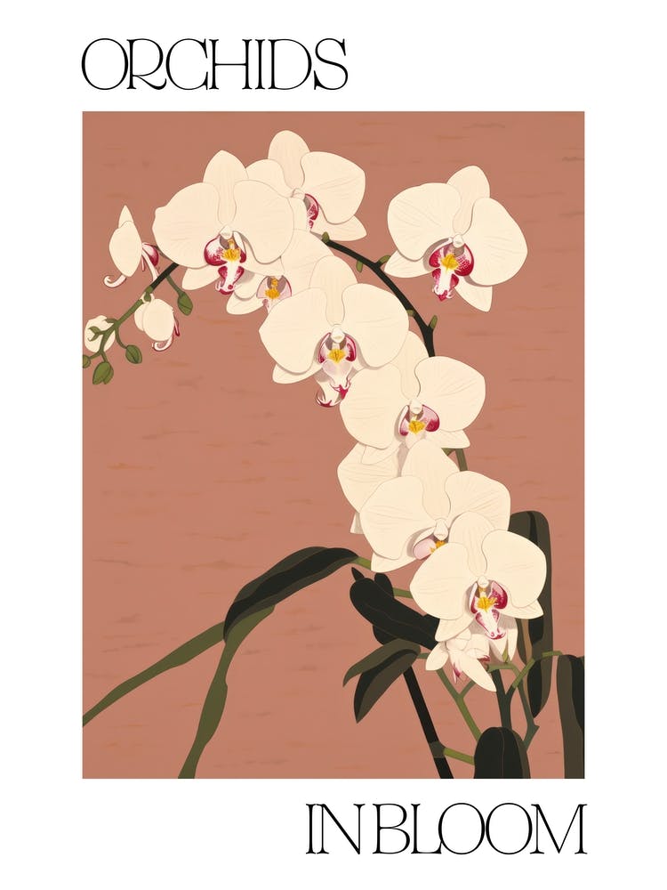 Orchids In Bloom Flowers Bold Illustration 2