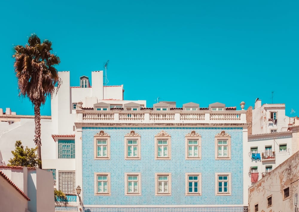 Azulejos And A Palm