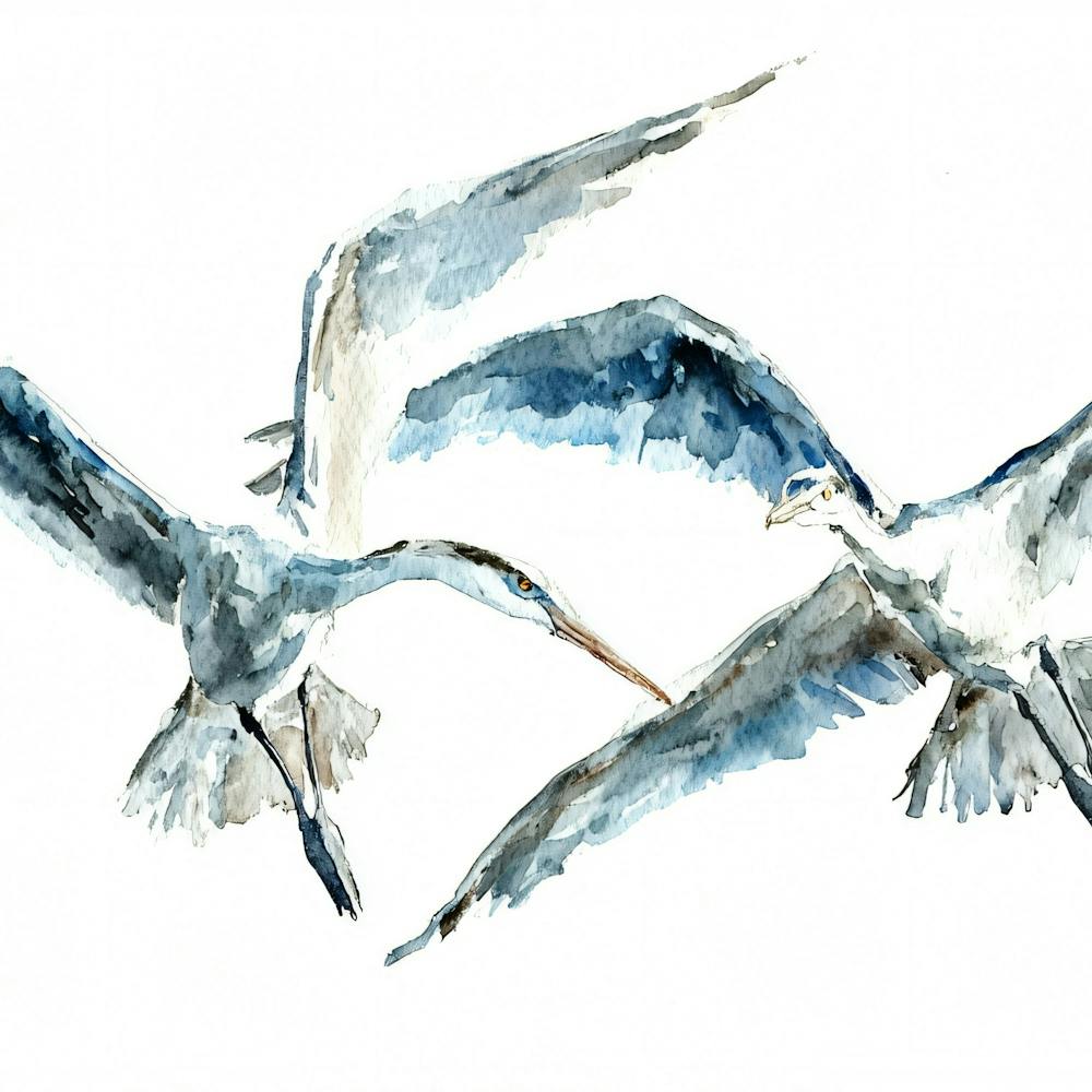 Reiher im Flug