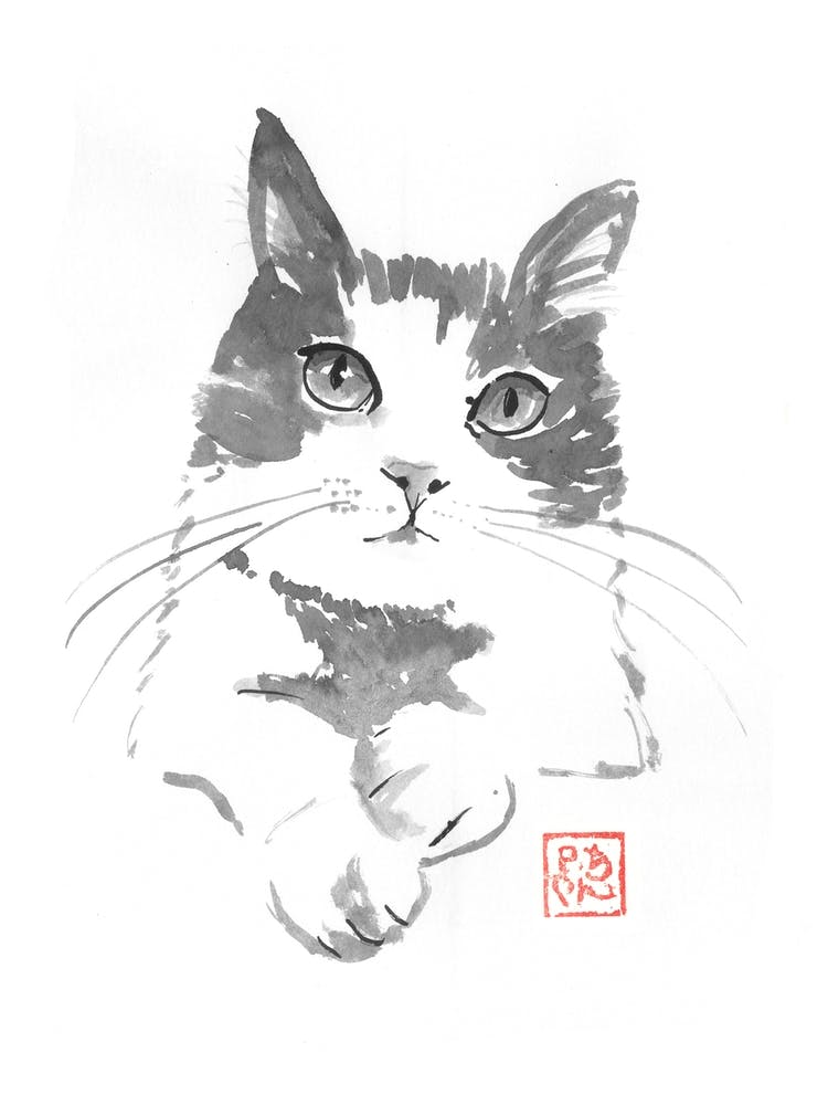 chat pausé