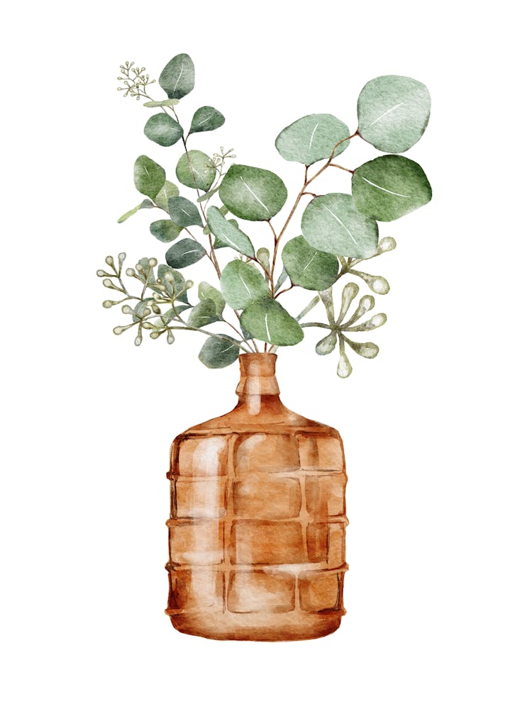 Green And Brown Eucalyptus Leaf