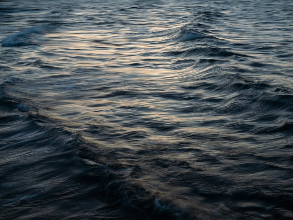 The Uniqueness of Waves XL