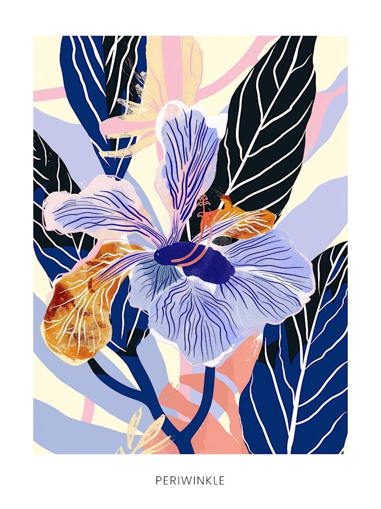 Buntes Blumenillustrationsposter Periwinkle 4