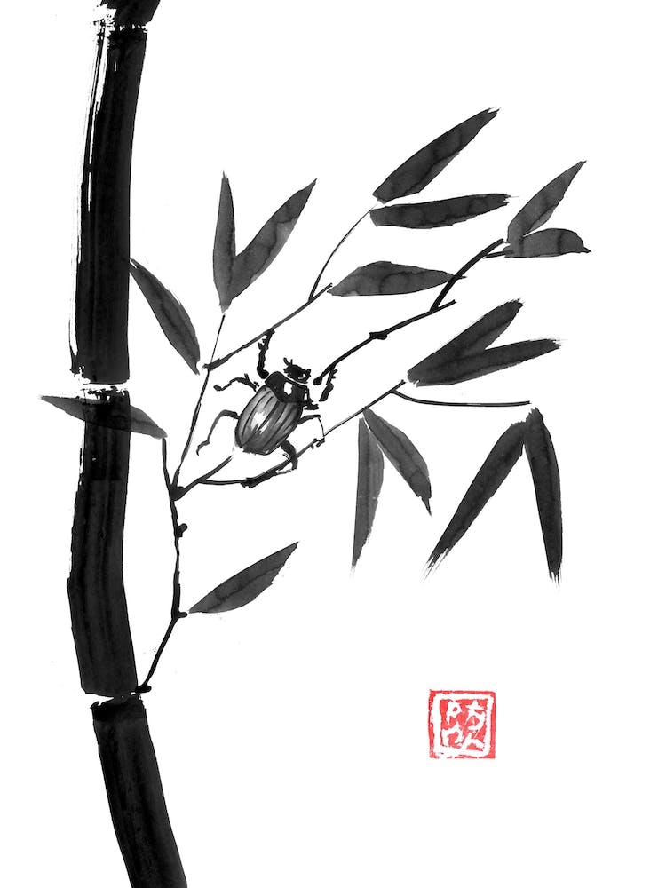Bamboo And Beetle