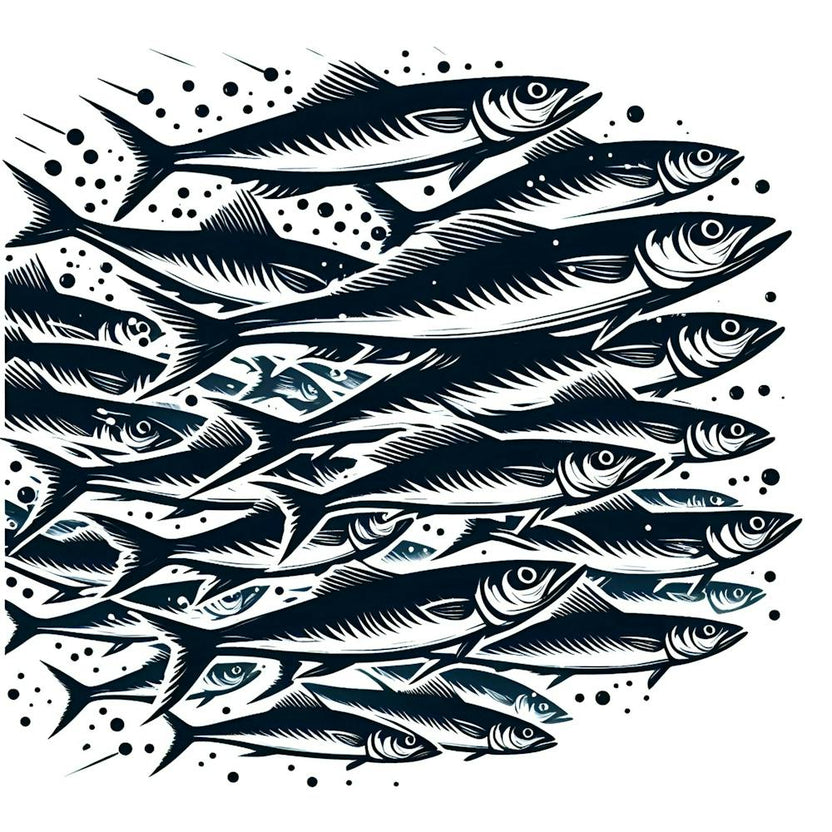 A Silhouette Of A Group Of Sardines Swim
