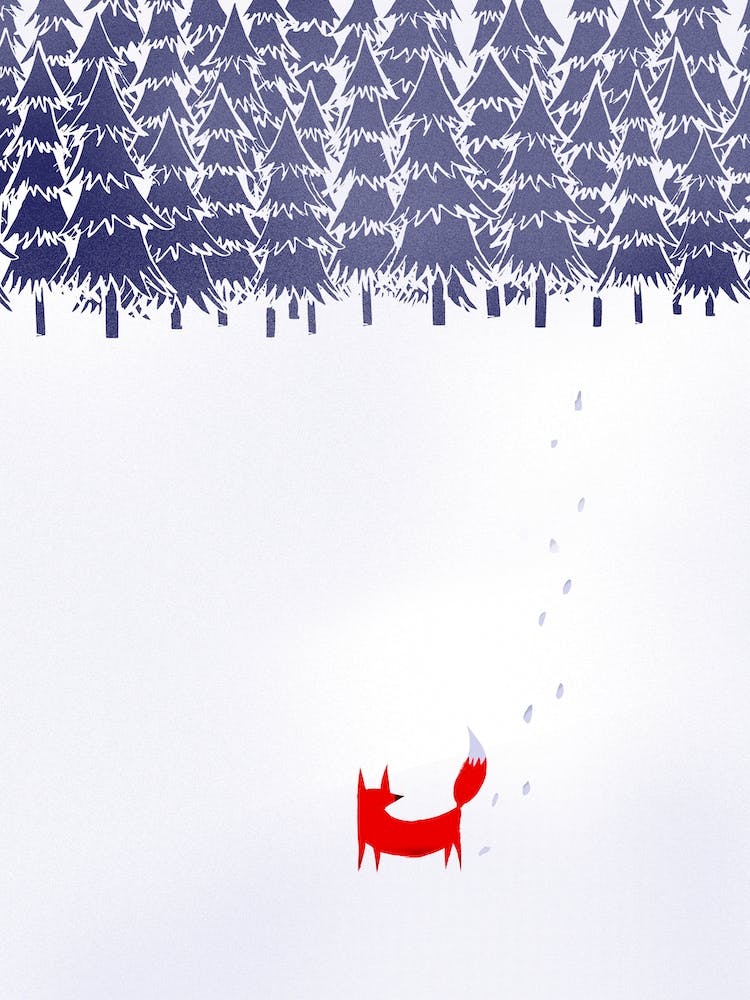 Alone In The Forest
