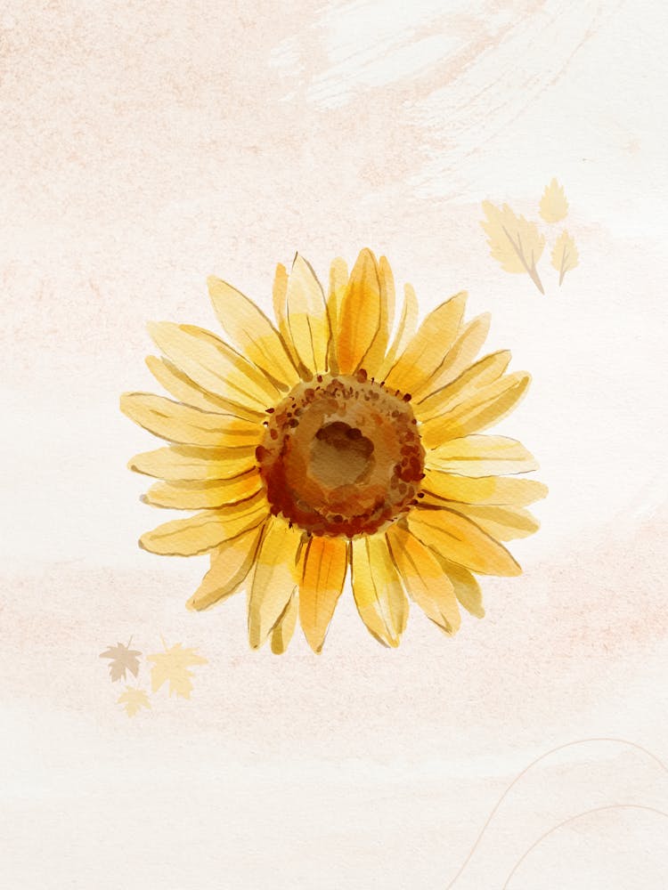 Sunflower 1