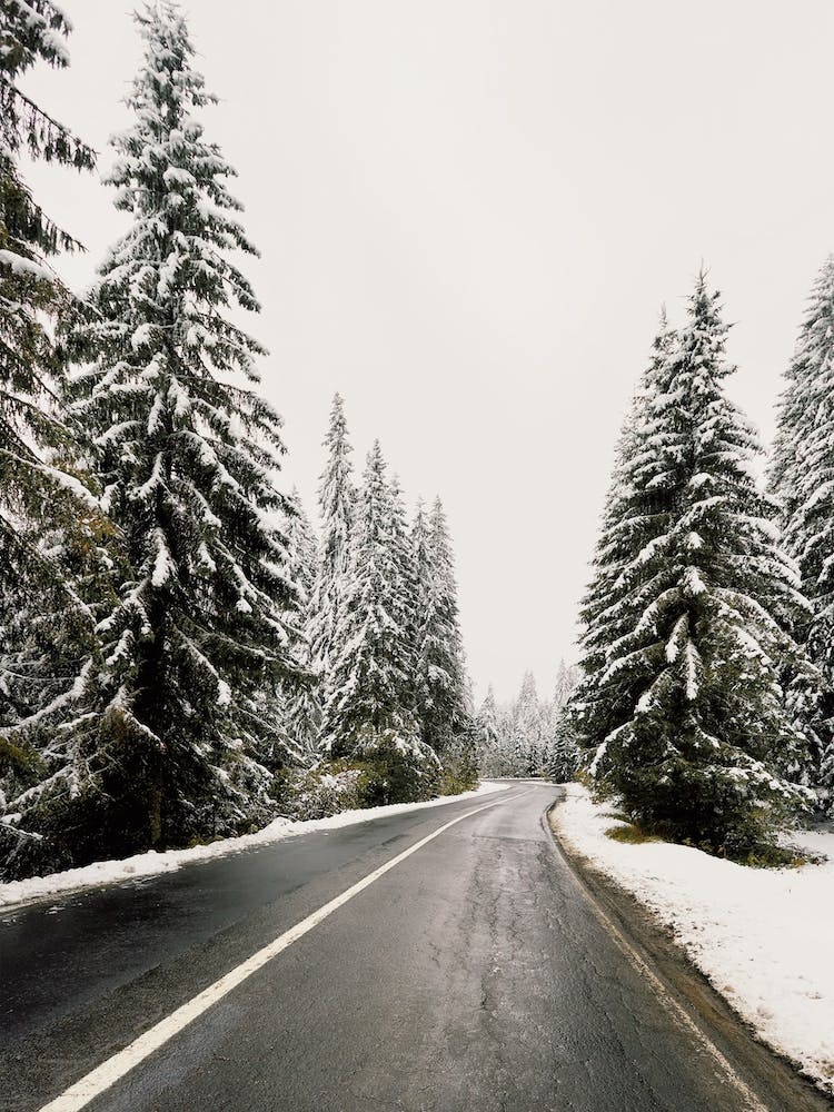 Snowy Winter Highway
