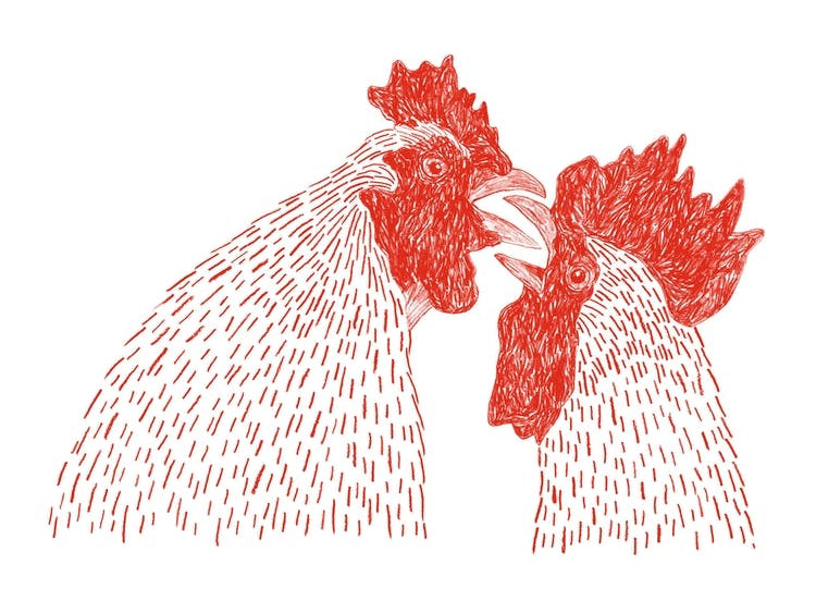 Gay Cockerels
