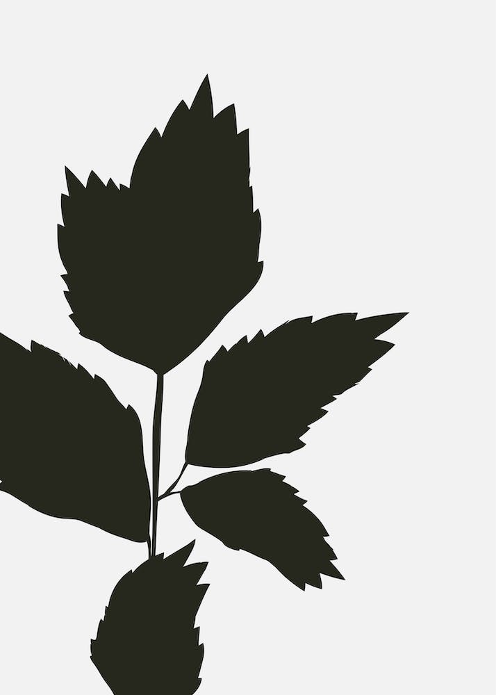 Abstract Botanical Black and Beige Art