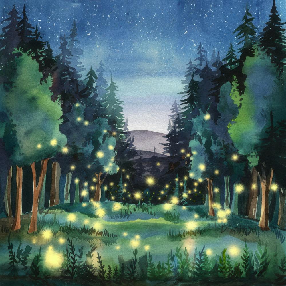 Fireflies In The Forest 4