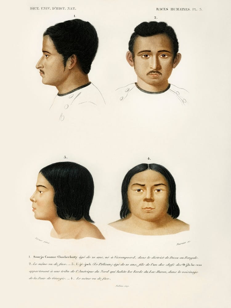 Human Race, Charles Dessalines D' Orbigny 3