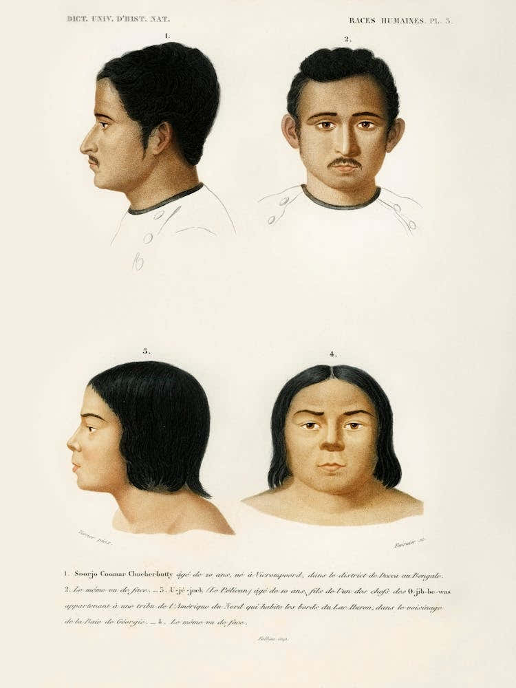 Human Race, Charles Dessalines D' Orbigny 3
