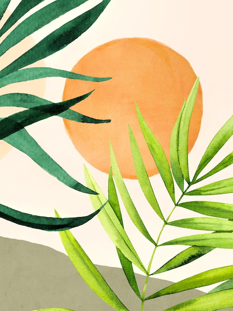 Tropical Sun