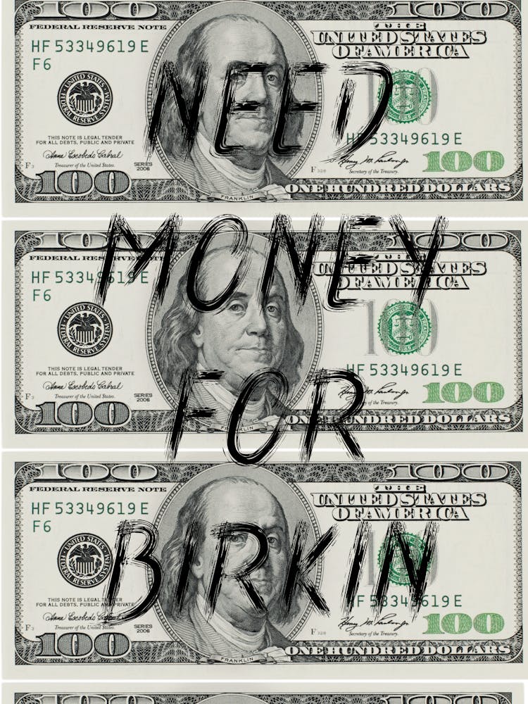 Need Money For Birkin