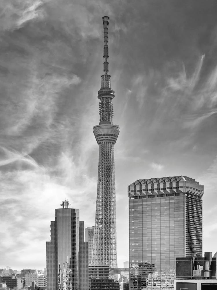 Striking Monochrome Tokyo Skytree By Sumida River