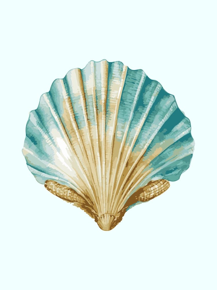 Seashell art print